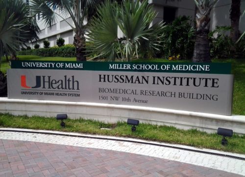 University Miami Main ID